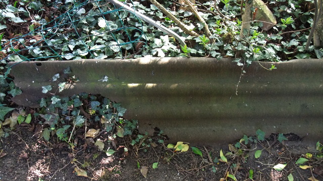 dscf8671.jpg